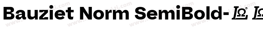 Bauziet Norm SemiBold字体转换